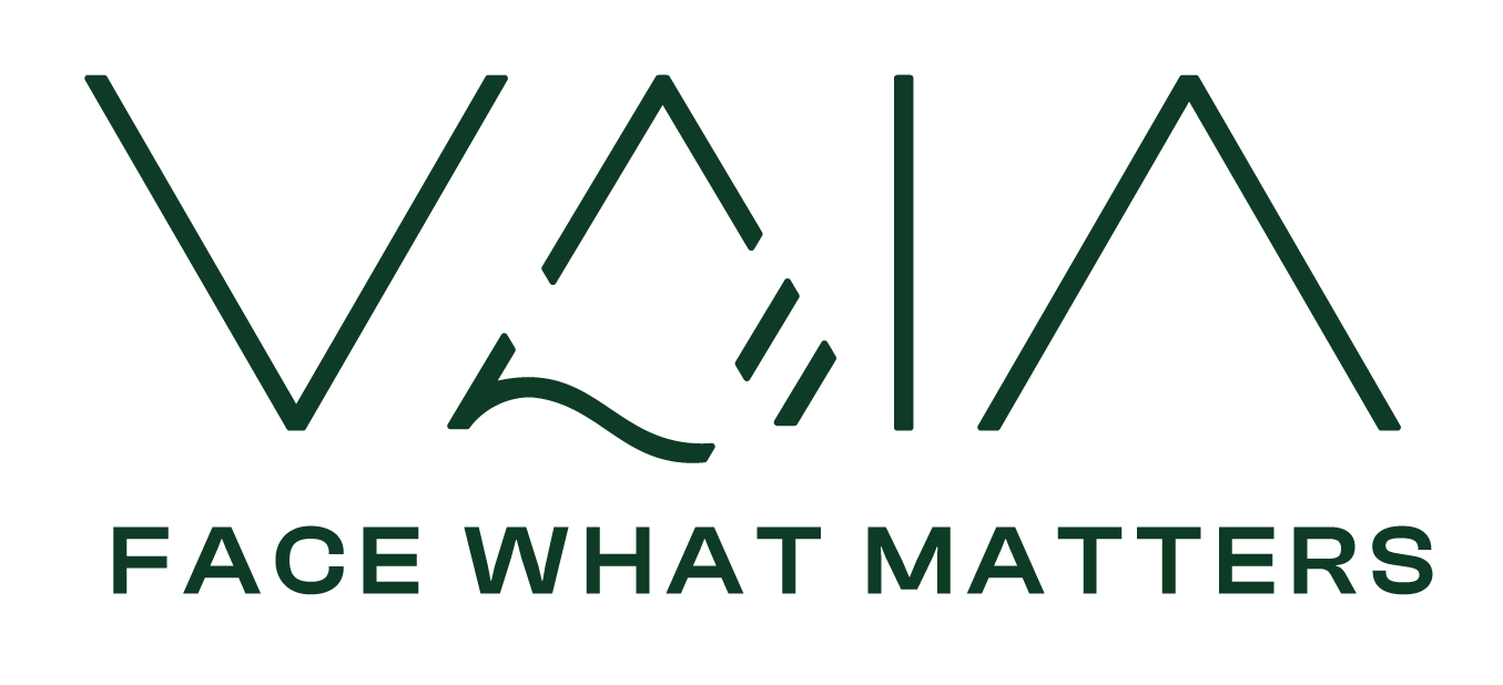 Logo Vaia